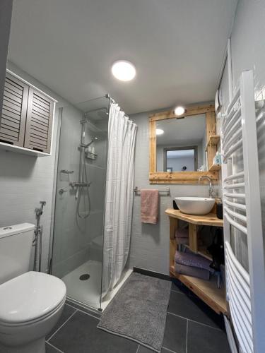 Studio climatisé avec terrasse ombragée dans maison au calme et dans la verdure (Studio climatise avec terrasse ombragee dans maison au calme et dans la verdure) in La Fontaine Sainte