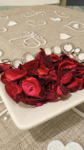 Palazzo Cantu' gîte à louer Corato