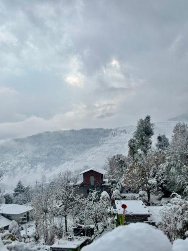 Basanti Rawat Homestay in Munsyari