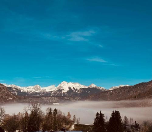 Home with views on Alps