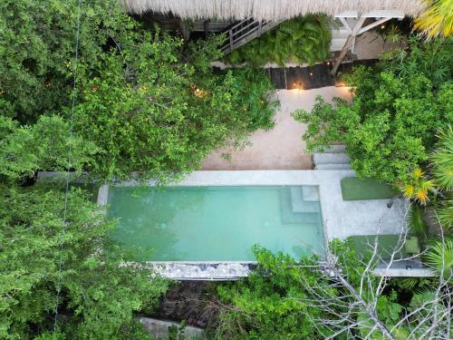 Beautiful 8BR Just 20 Meters from the Sea Tulum ZH in Tulum, Mexico