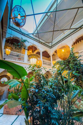 Riad LAMDINA 2