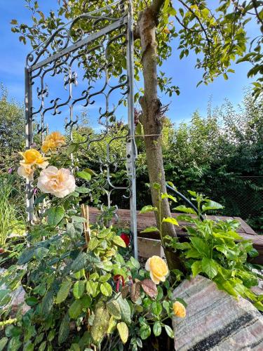 Apartments Sunnseitn by Gerrit & Herfried Apartments Sunnseitn by Gerrit & Herfried