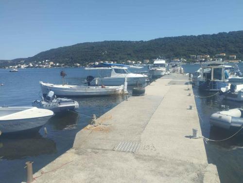 Apartment in Supetar - Insel Brac 42678, Supetarska Draga (foto 3)