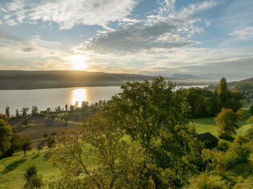 景觀, Aparthotel Beinwil am See in 拜恩維爾岩斯