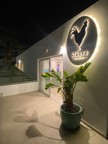 키케레스튜디오스 - 편의 시설/서비스