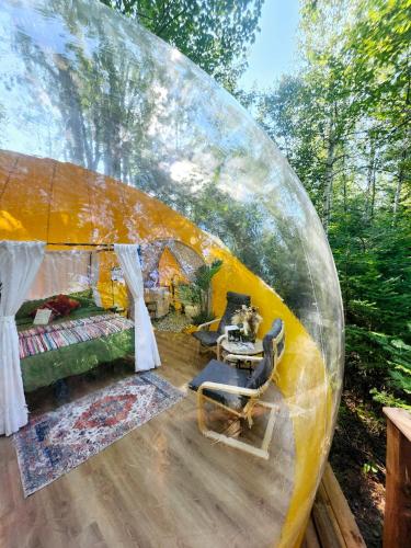 A környék, Estrella Glamping in Caraquet