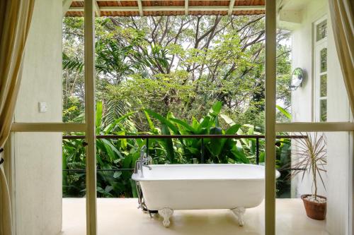 Suite, junior, garden view