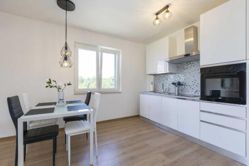 Konyha, Apartment Mirna with Swimming Pool in Strmac