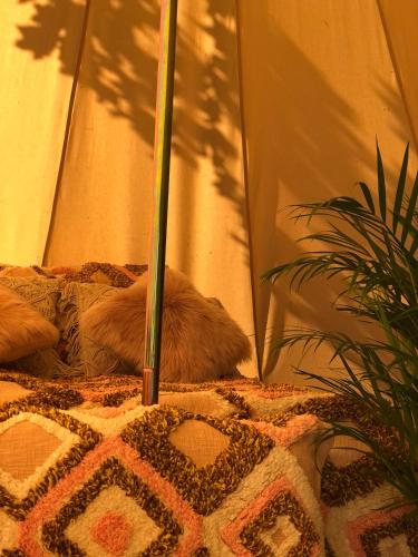. Grønsetsetra Glamping