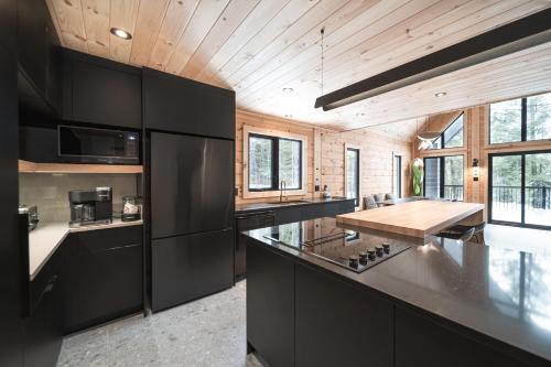 virtuve, Le Mitik Tremblant - SPA - LACS - PLAGES - JEUX in Amherst (QC)
