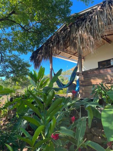 Dārzs, Surf Lodge El Carrizal-Punta Mango in Punta Mango