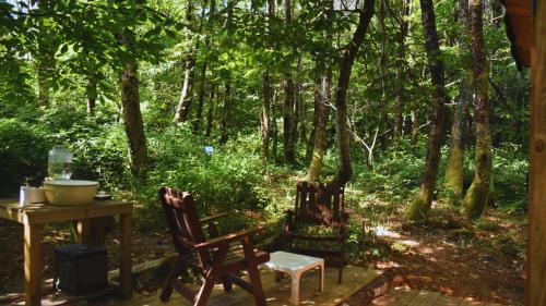 Chambre scandinave dans un parc forestier Chambre scandinave dans un parc forestier