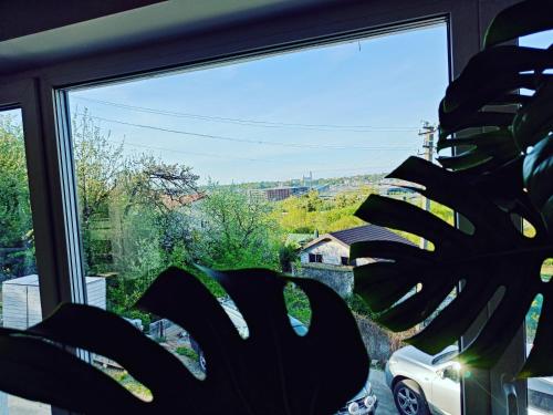 Panoramic view home Panoramic view home