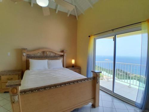 Gorgeous Oceanview Peaceful Villa in ポイント ブランチ