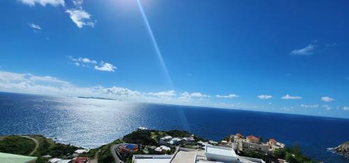 Gorgeous Oceanview Peaceful Villa in ポイント ブランチ