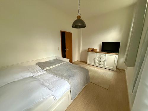 Komfortables 3 Zimmer Apartment in Dresden, Dresden (Foto 5)
