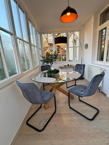 Komfortables 3 Zimmer Apartment in Dresden, Dresden (Foto 6)