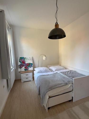 Komfortables 3 Zimmer Apartment in Dresden, Dresden (Foto 8)