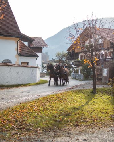 Hotel Keindl - image 4