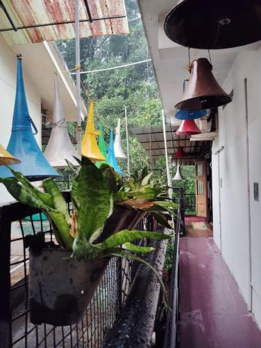 Wooden Cottage in Changanassery