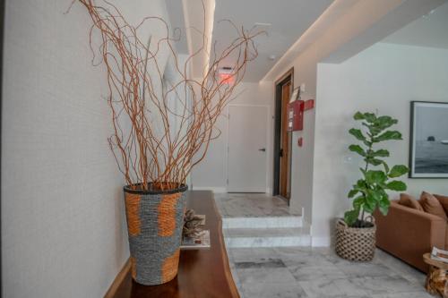 South Beach Luxury Apartments - image 11