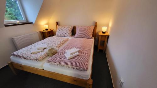 Penzion Na Staré cestě (Penzion Na Stare ceste) in Destne V Orlickych Horach