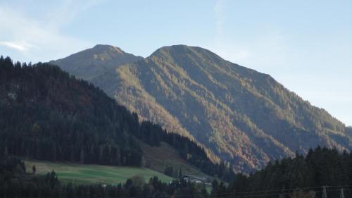Haus Horngacher - image 2