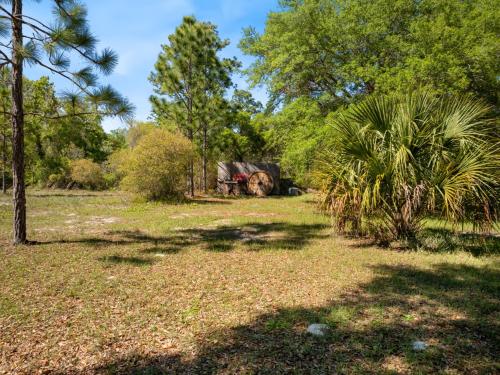 Three Cedars, Cedar Key (foto 6)