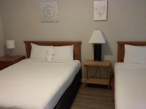 Wistful on Washington-Moon River District - image 12