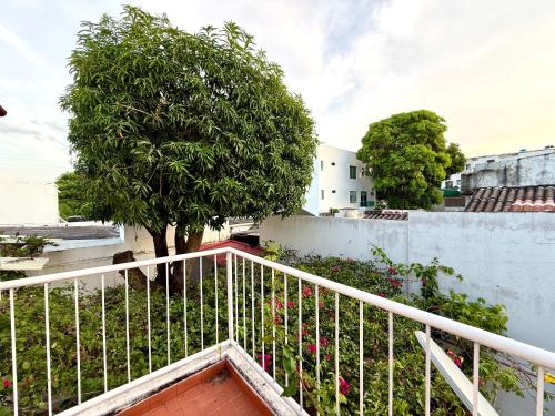 Casa Jardin