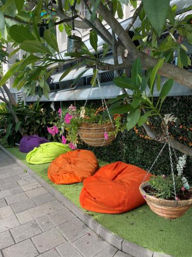 Youth Shack Backpackers Darwin