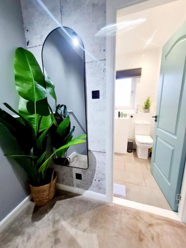 Bright 3BR walking distance to town - FREE parking, Glasgow (photo 5)