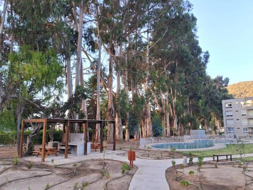 Acogedor Departamento en Papudo in Zapallar