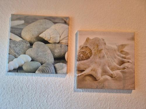Holiday Home image 10