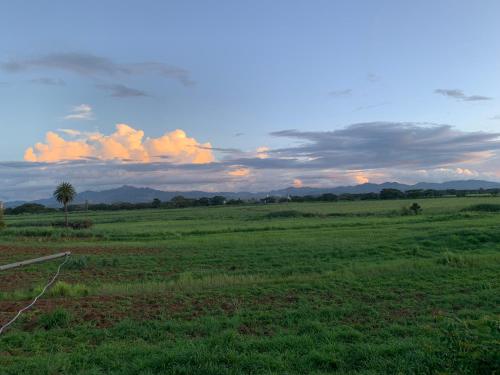 Happy staycation, Nadi (foto 3)