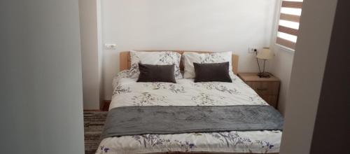 Ruža Vetrova A3 Ruža Vetrova A3