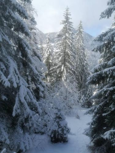 Ruža Vetrova A3 Ruža Vetrova A3