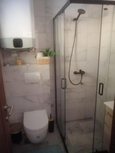 Ruža Vetrova A3 Ruža Vetrova A3