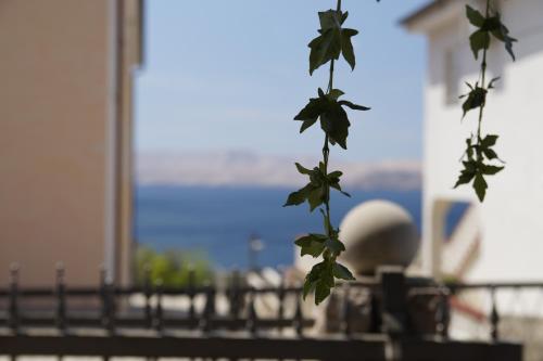  Apartmenthaus Hana, Pension in Karlobag bei Štirovača