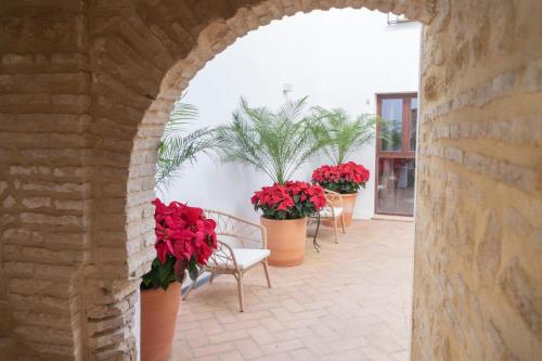 Corazón 23, Córdoba (fotografie 8)