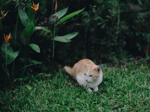 เฮือนริมน่าน Huen Rim Nan