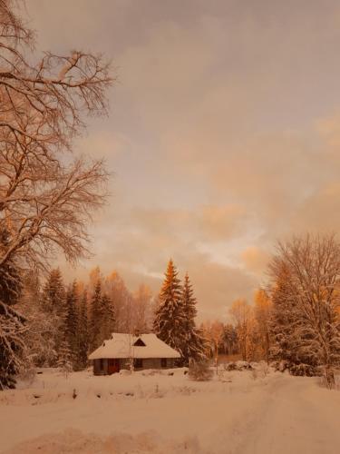 Kikepera Alamaja Kikepera Alamaja