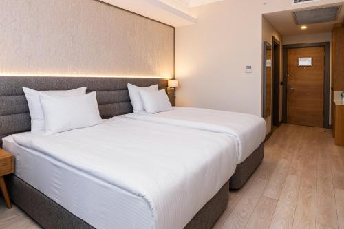 Standard Twin Room image 2