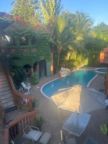Hidden oasis in Mandeville