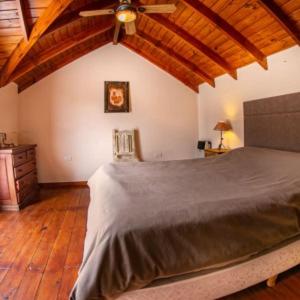 Cabañas Arca de Noé