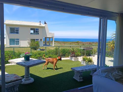 Balkonas / terasa, Scenic Bliss Holiday Home in Kleinmondas