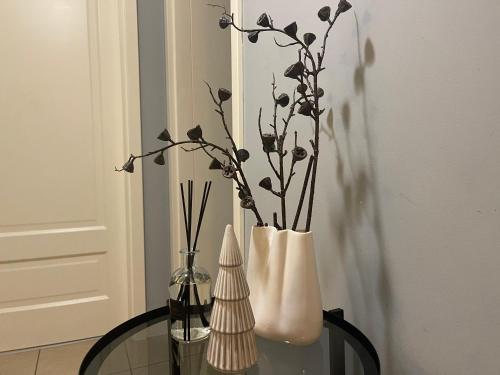 Фойє, Apartament PolnaHouse in Серадз
