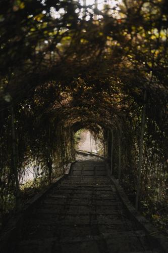 Exterior view, RINDANG Glamping in Malang