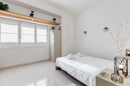 Casa San Paolo, Rome (photo 2)